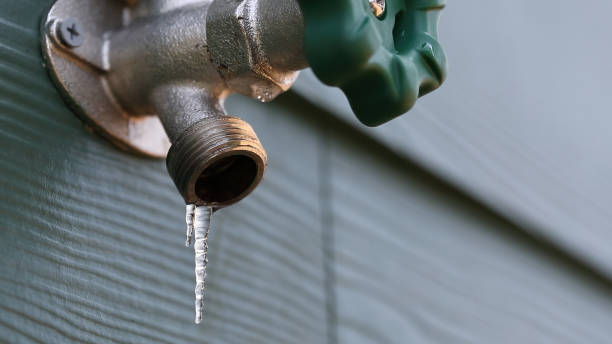 Best Affordable Plumbing Services  in Joanna, SC